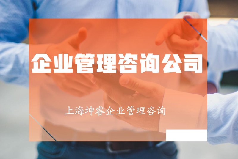 上海咨询